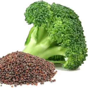 Broccoli seeds from Plants