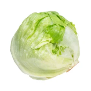 Iceberg Lettuce ( آئس برگ سلاد ) Hybrid F1 Seeds Iceberg Lettuce ( آئس برگ سلاد ) Hybrid F1 Seeds