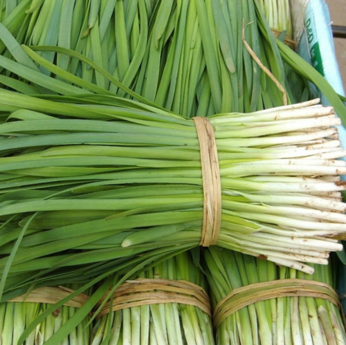 High-Quality-Hybrid-F1-ves-Seeds-Leek-Seeds-for-Growing-Lj012 Garlic chives seeds in Pakistan low prices high quality