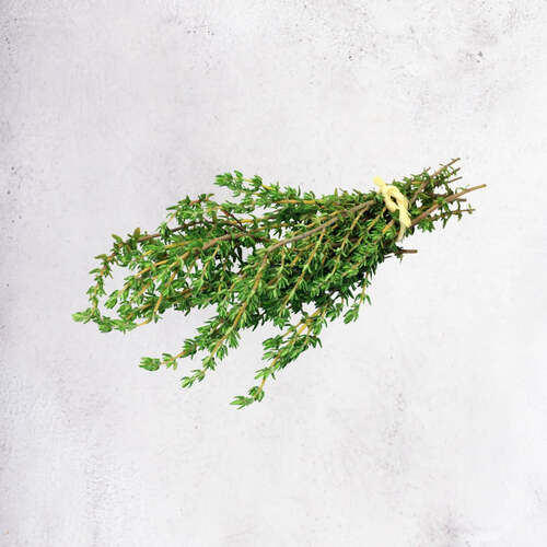 Thyme Seed