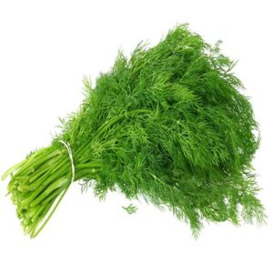 fennel leaf now buy online in Pakistan at seed beej