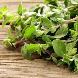 majroam-384-0-090523051627408 (1) Marjoram (Origanum majorana) seeds