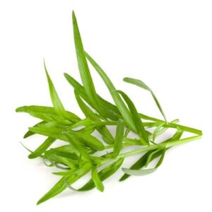 tarragon now buy online in Pakistan at seed beej