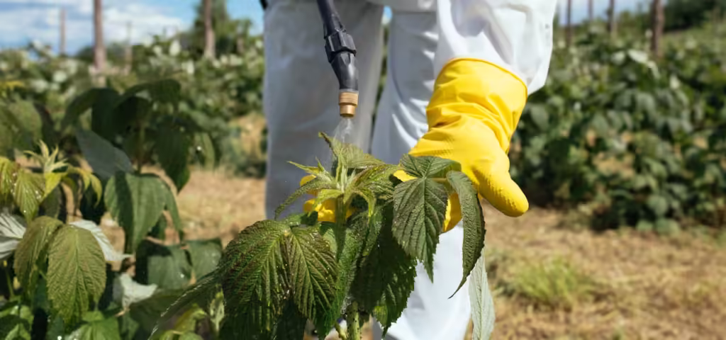 Best pesticides online in Pakistan Best pesticides online in Pakistan
