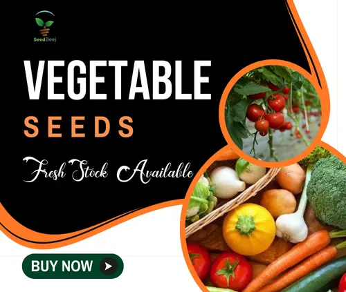 20 OFF 3 now buy online in Pakistan at seed beej