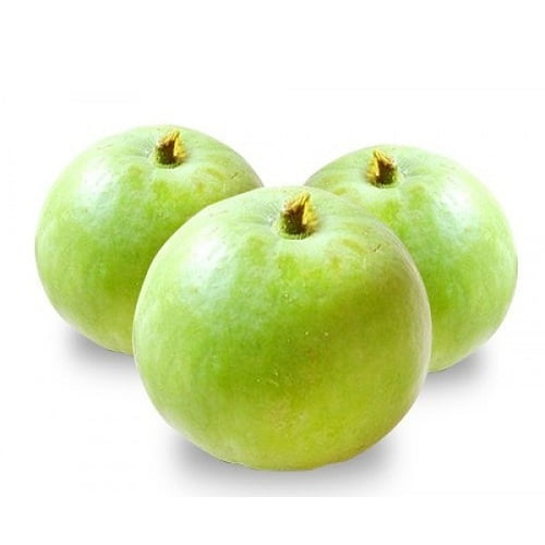 apple gourd 1 now buy online in Pakistan at seed beej