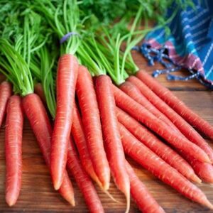 red carrot seeds in Pakistan seed beej