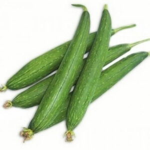 sponge gourd 500x500 384 222493 030219011823 1 now buy online in Pakistan at seed beej