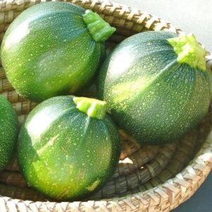 squash round zucchini 1 now buy online in Pakistan at seed beej