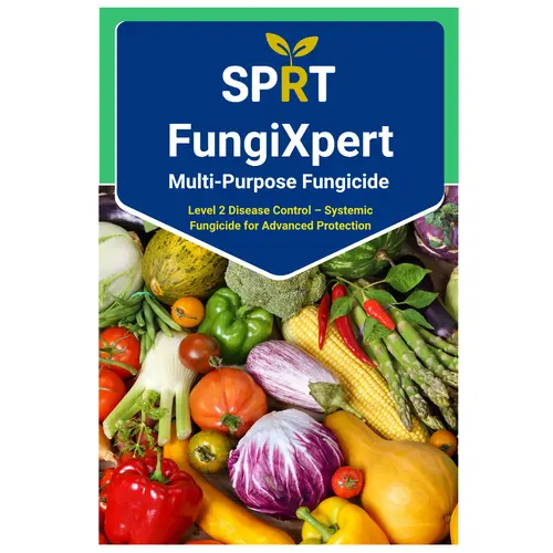 fungixpert 100gm