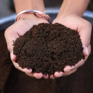 Vermicompost Price in Pakistan Vermicompost Price in Pakistan
