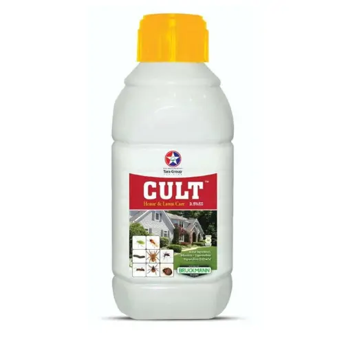Cult 2.5 EC