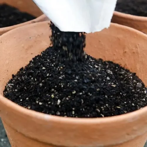 BLACK ELIXER Organic Compost