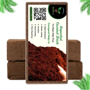 coco peat brick 600gm seedbeej