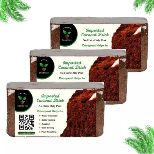 coco peat 600gm