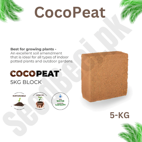 cocopeat 5kg now buy online in Pakistan at seed beej