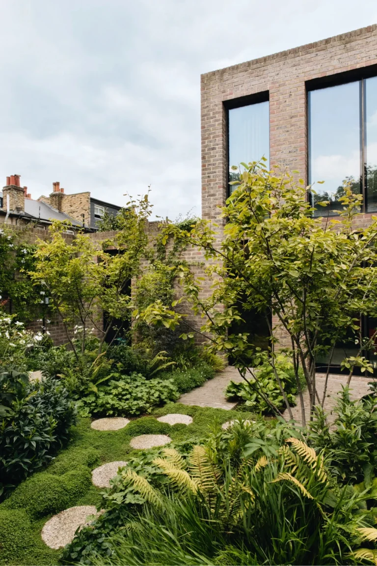 How to start a urban garden