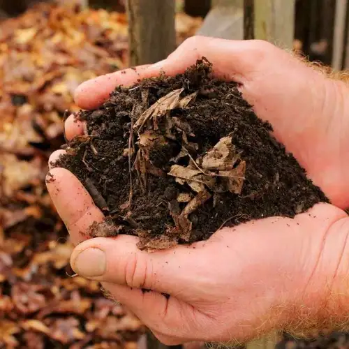 organic leaf compost bin