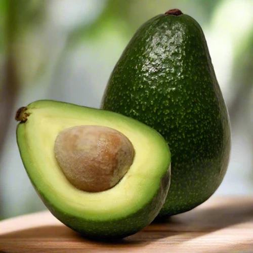 Avocado Plant in Pakistan - Seed Beej