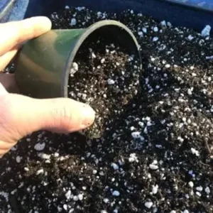 BLACK ELIXER Organic Compost