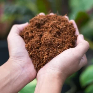 cocopeat 5kg block coir