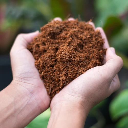 cocopeat 5kg block coir