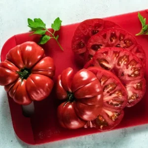 Beefsteak Tomato Prime Seedlings F1 Hybrid