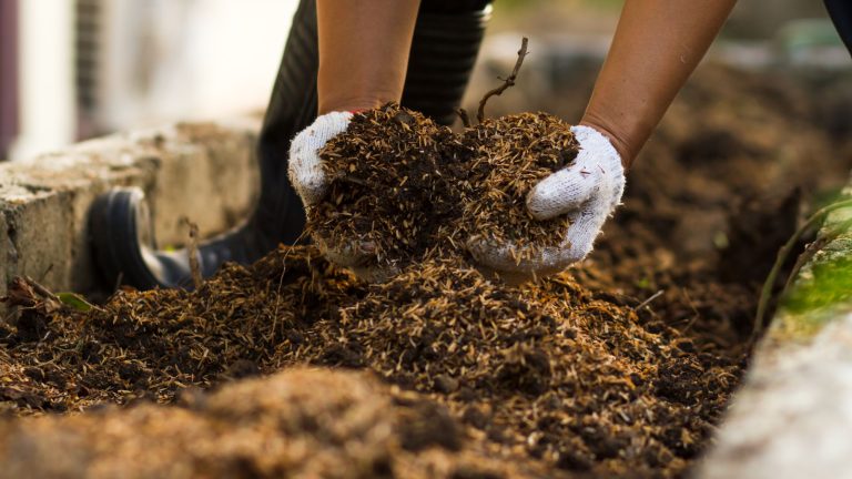 organic compost