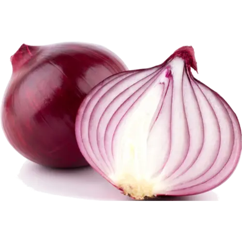 Red Onion Seedling (پیاز پنیری)