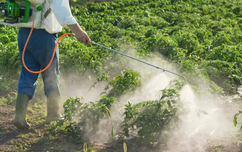 buy pesticides in Pakistan