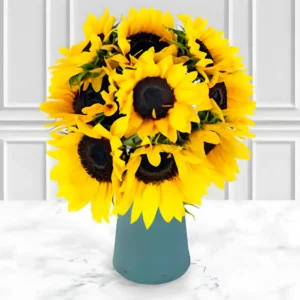 Yellow Sunflower Seeds – Brighten Your Garden with Cheerful Blooms