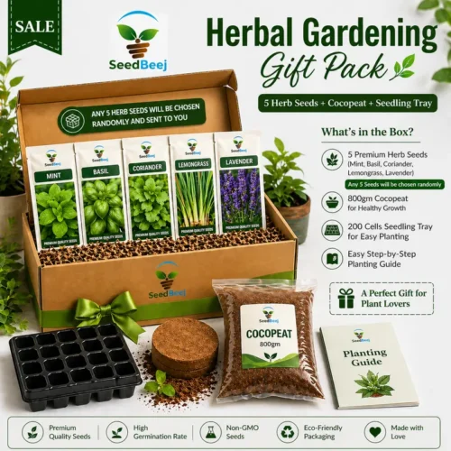 gardening kit Pakistan
