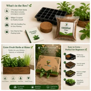 Herb seeds deal in Paklistan kitechn gardening starter kit
