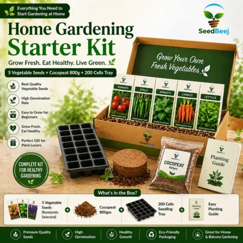 Kitchen Gardening Starter Kit
