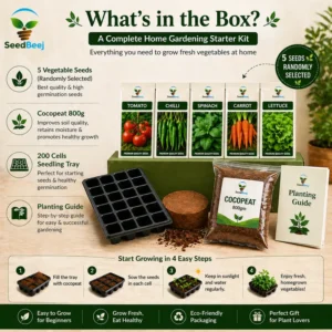 Home Gardening Kit Pakistan – Vegetable Starter Kit for Beginners