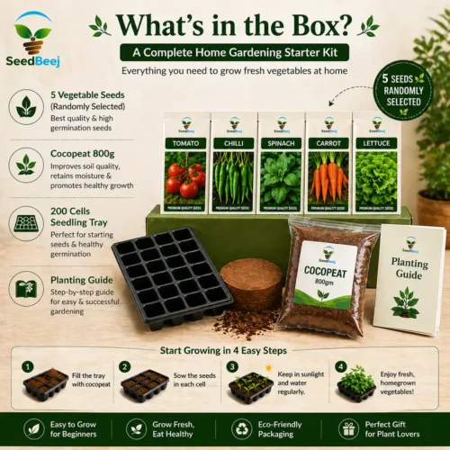 Home Gardening Kit Pakistan – Vegetable Starter Kit for Beginners