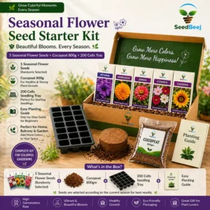 Flower Seeds Kit Pakistan – Seasonal Flower Gardening Starter Kit