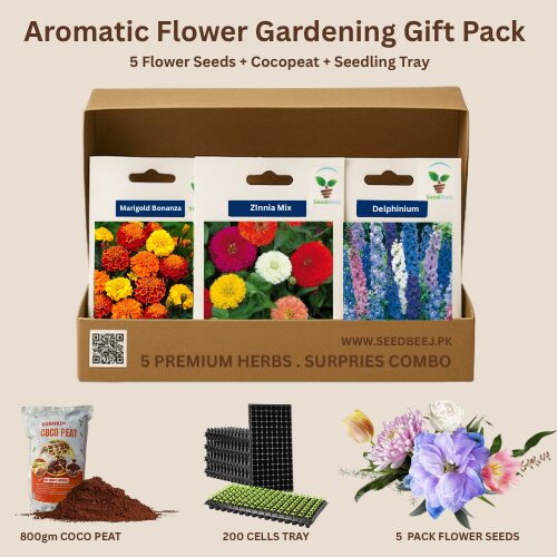 aromatic flower seeds