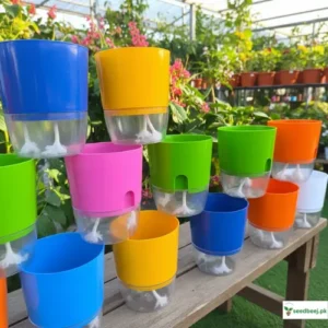 Self watering pots best price in Pakistan near me