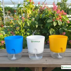 Best self watering pot in Pakistan