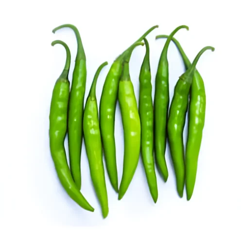Balcony gardening long chilli hybrid variety