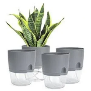 Stylish small indoor self watering planter in white – SeedBeej.pk