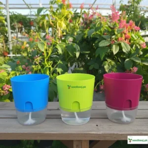 Self watering pots best price in Pakistan