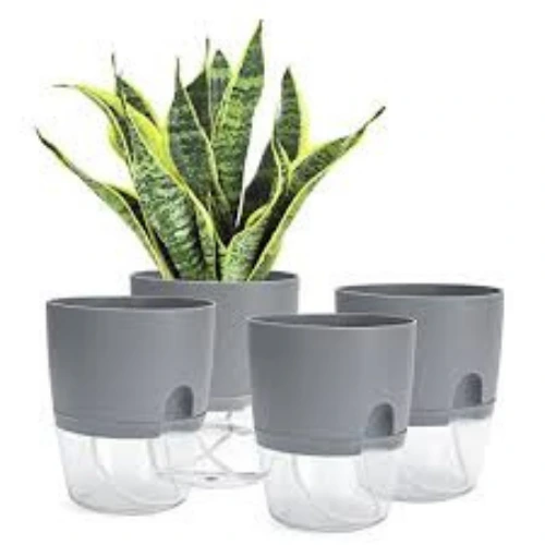 Stylish small indoor self watering planter in white – SeedBeej.pk