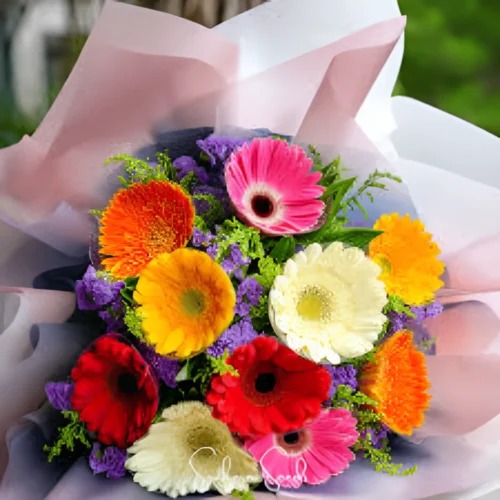 Gerbera plant with vibrant pink and yellow flowers grown from seeds in Pakistan