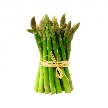 Fresh green Asparagus Plant growing in garden soil in Pakistan