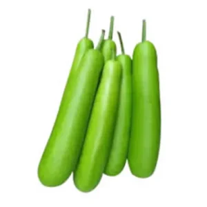 Fresh bottle gourd grown from premium seeds in Pakistan home garden