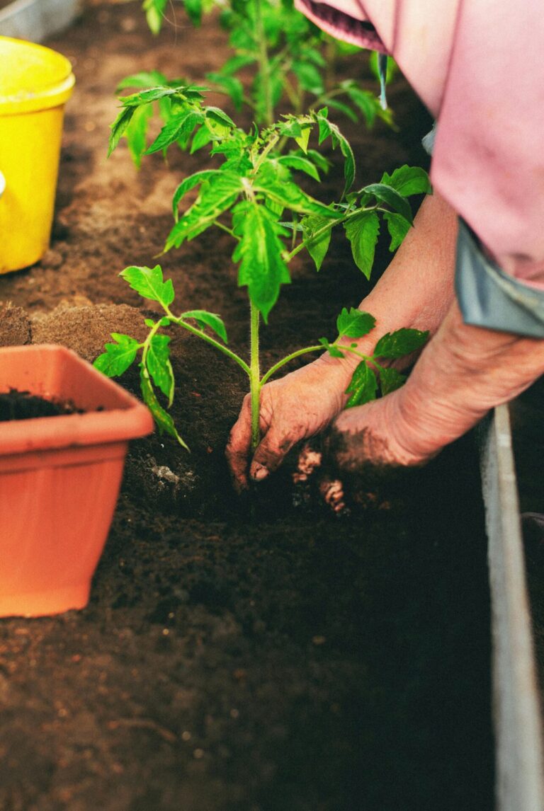 Making organic compost at home in Pakistan using kitchen waste and garden tools