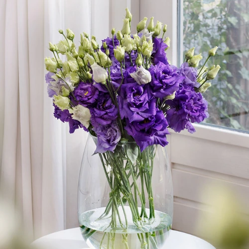 Lisianthus Seeds (20 seeds)