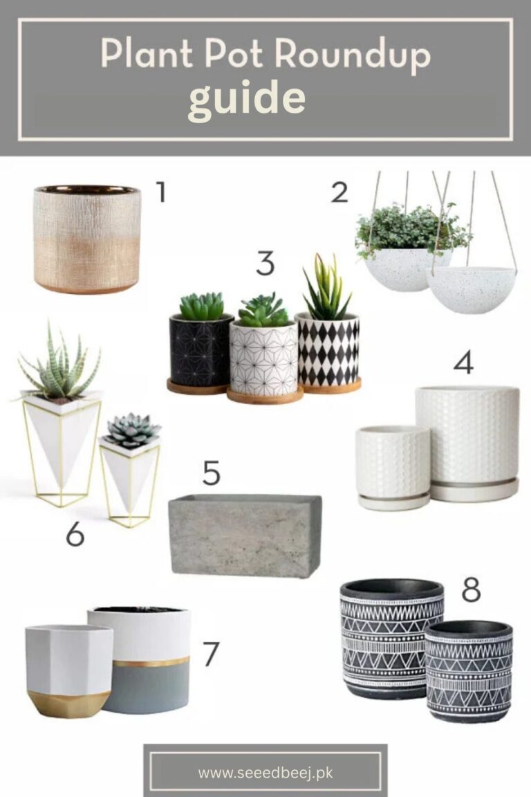 How to choose pots and planters for gardening in Pakistan